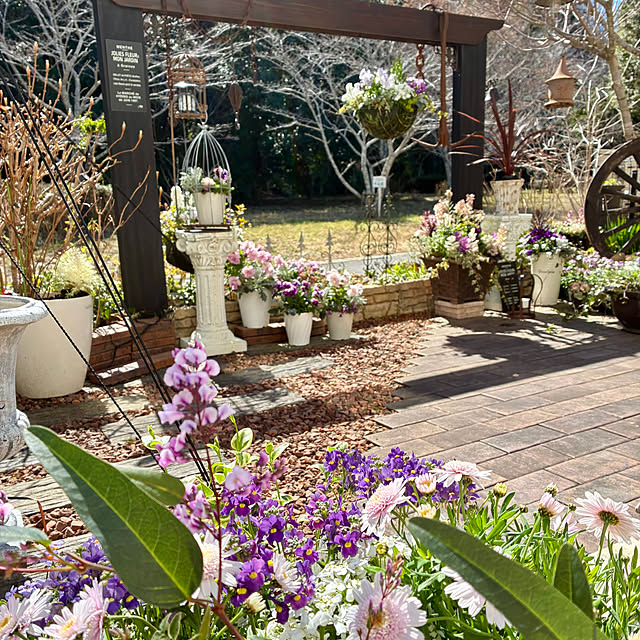 soraさんの実例写真