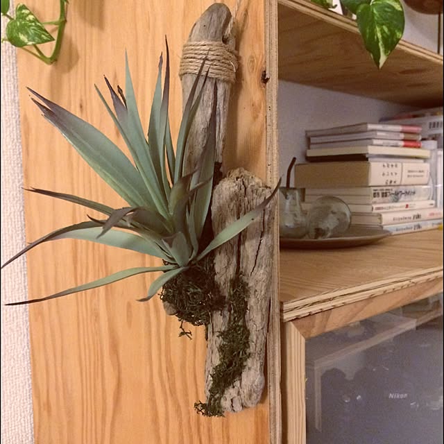 tmkさんの実例写真