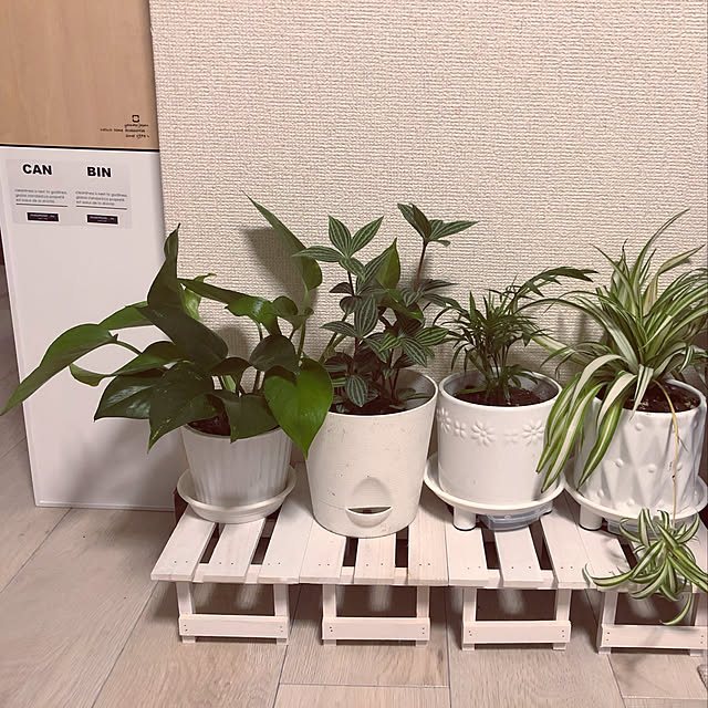 chirorinさんの実例写真