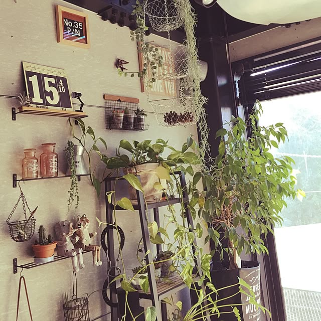 noritamahouseさんの実例写真