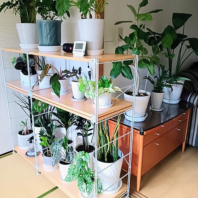 hanachanさんの実例写真