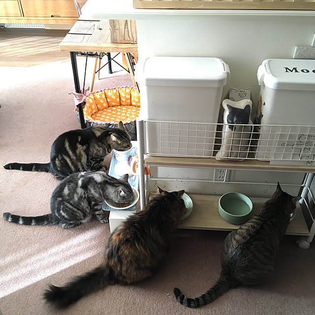 mikomaruさんの実例写真