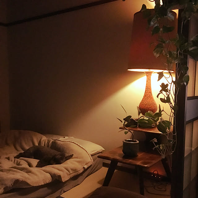 tamaさんの実例写真