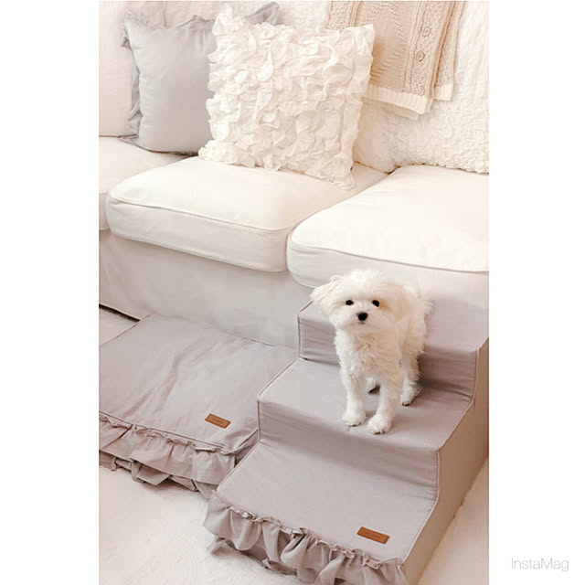 Ayumiさんの実例写真