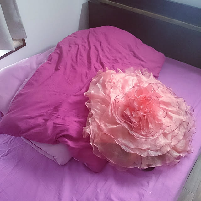 amさんの実例写真