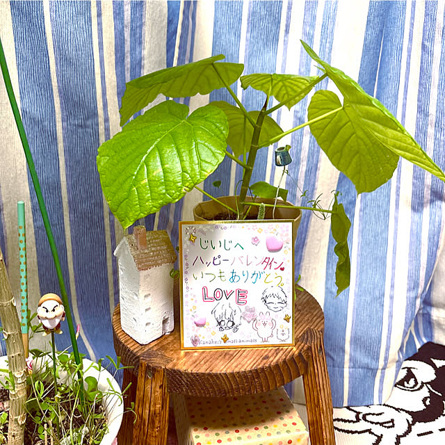 takakoさんの実例写真