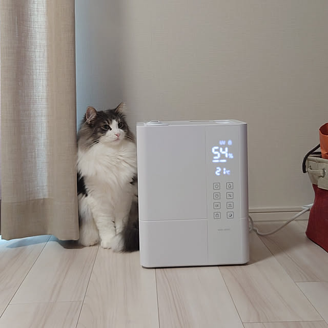 miyukiさんの実例写真