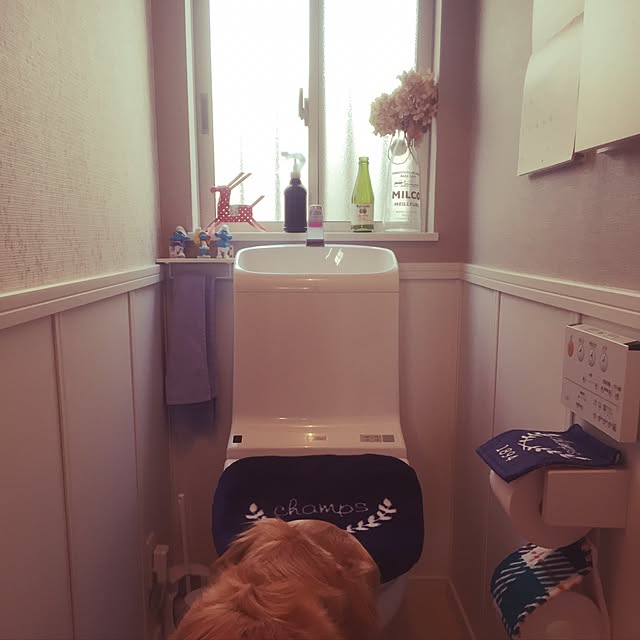 Kazueさんの実例写真