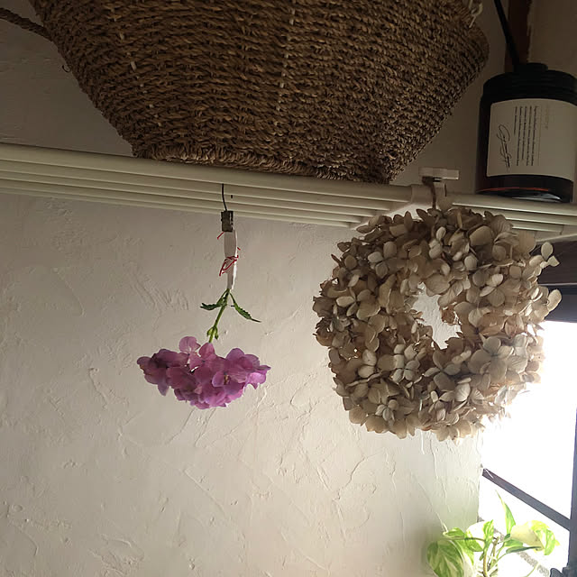 komainuさんの部屋