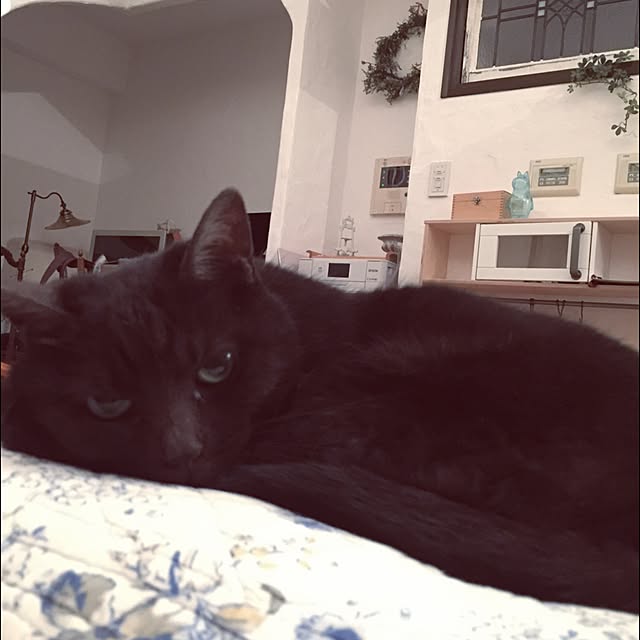 kimikaさんの実例写真