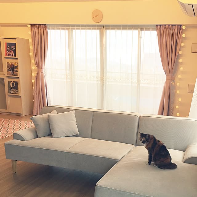 mini_moppyさんの実例写真