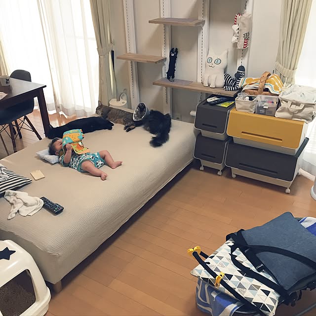 yuki0511さんの実例写真