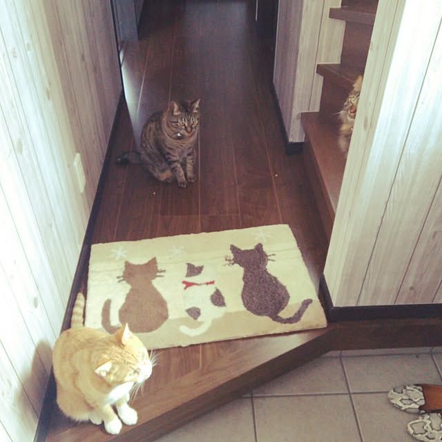 chamakonanさんの実例写真