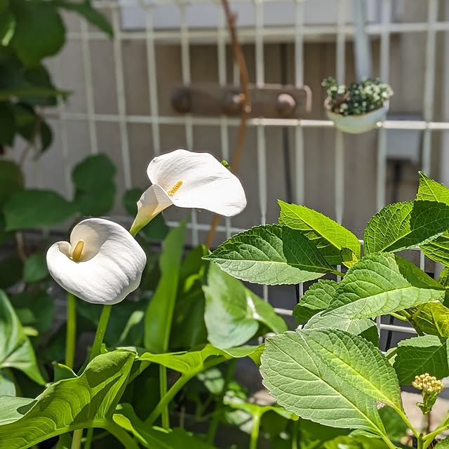 junさんの部屋