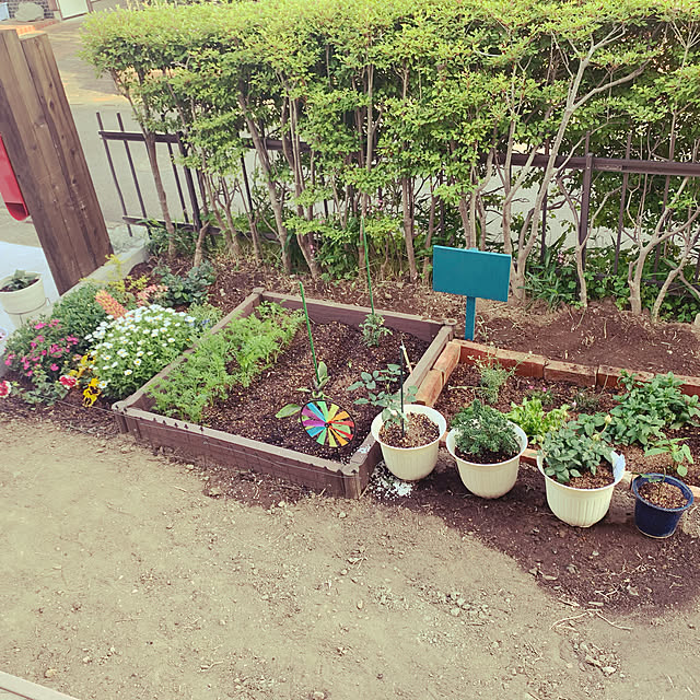 ranrin0501さんの実例写真