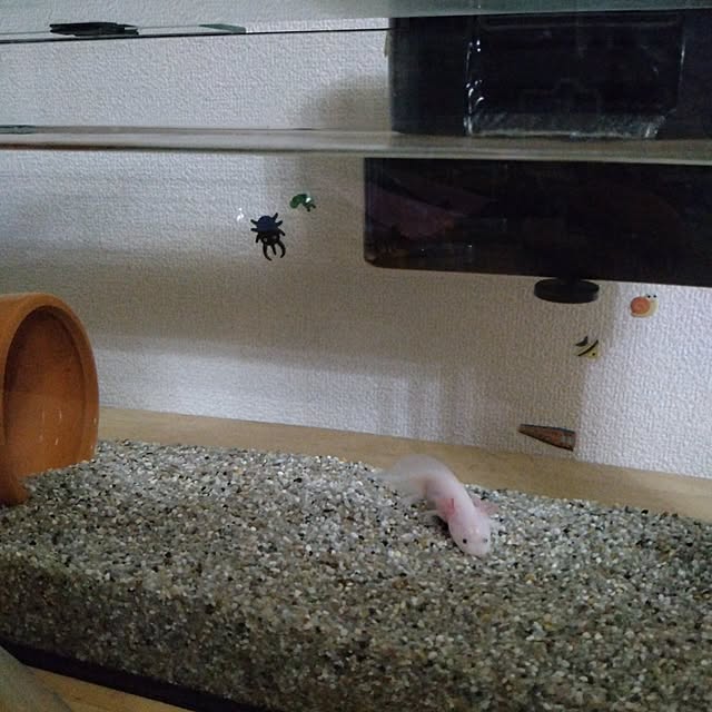 m.mさんの実例写真