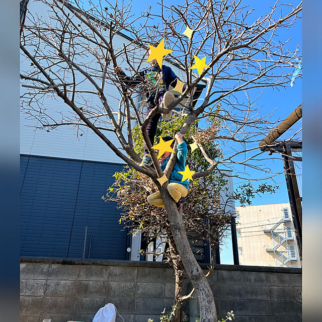 momoさんの実例写真