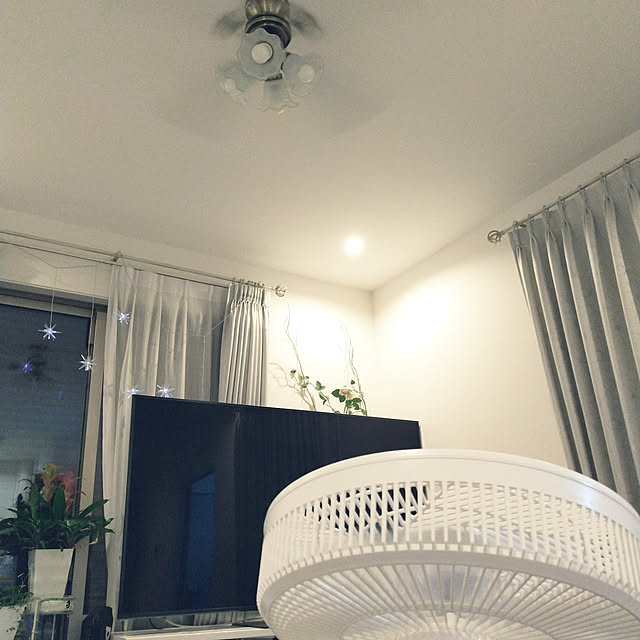 SSさんの実例写真