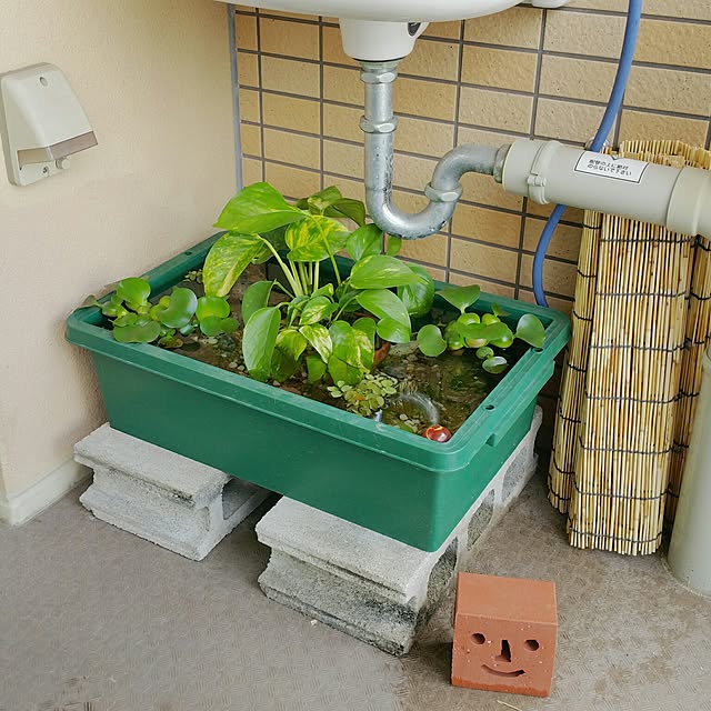 KEIKOさんの実例写真