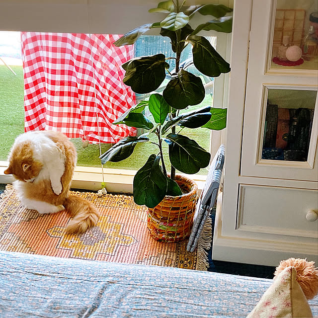 Spiceさんの実例写真