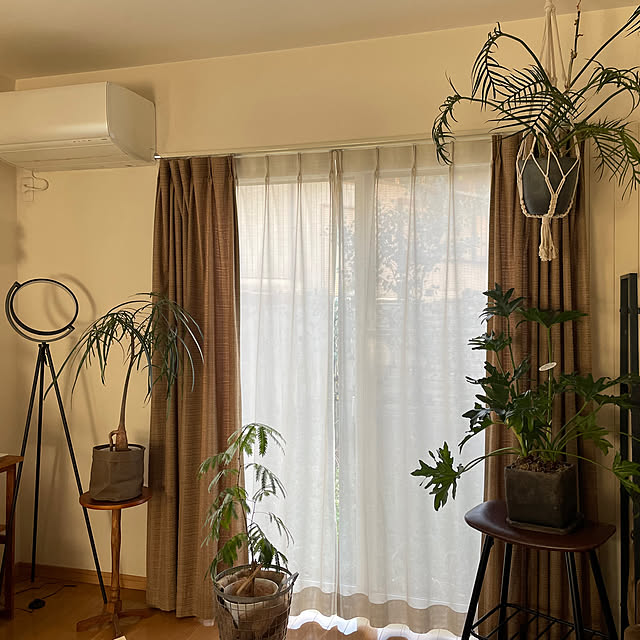 リビング/観葉植物/ナチュラル/植物/雑貨...などのインテリア実例 - 2024-11-29 07:01:24