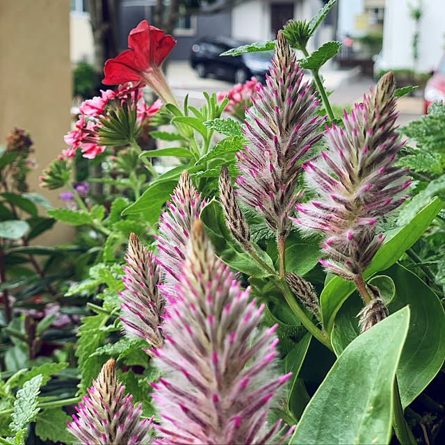 yukarin-gardenさんの実例写真