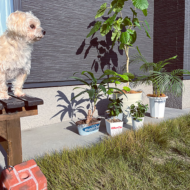 seiさんの実例写真