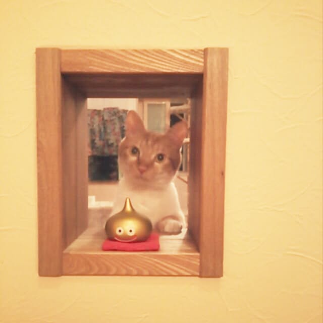 k.namiさんの実例写真