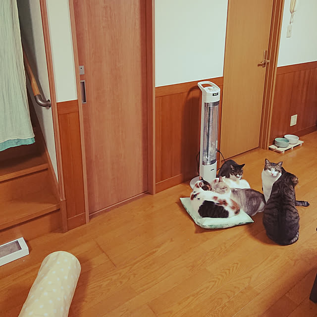 nachiさんの実例写真