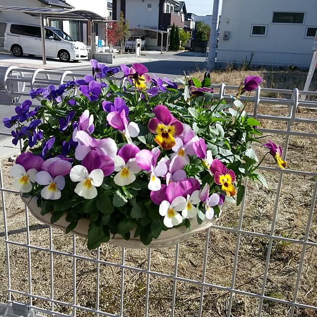 pokkeさんの実例写真