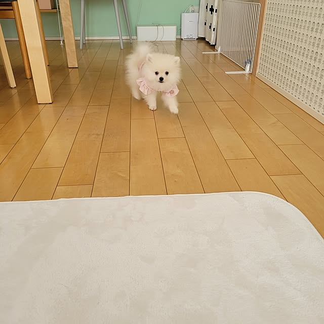 Rさんの部屋