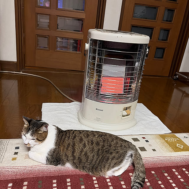 A-Mさんの実例写真