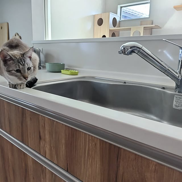 moonさんの実例写真