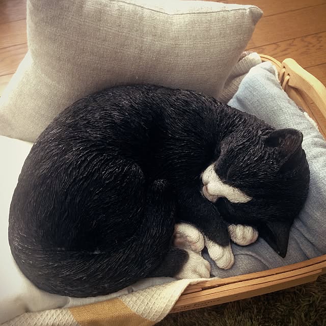 jyuzoさんの実例写真