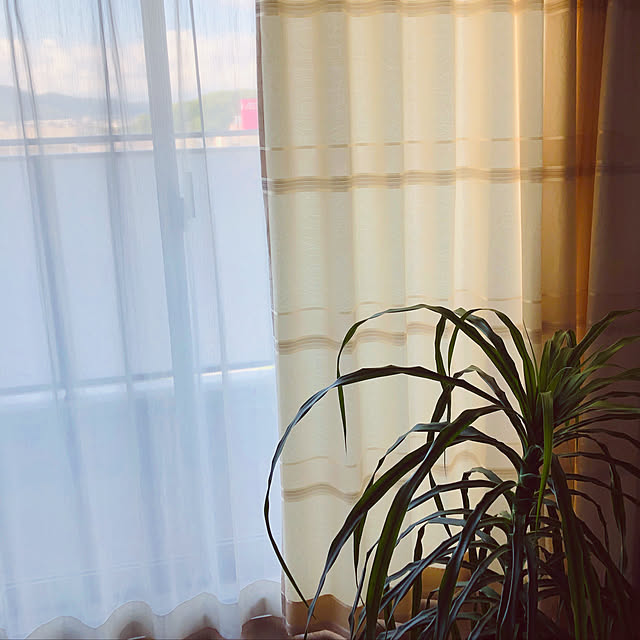 Tomoさんの実例写真