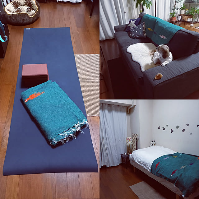anzmama0404さんの実例写真