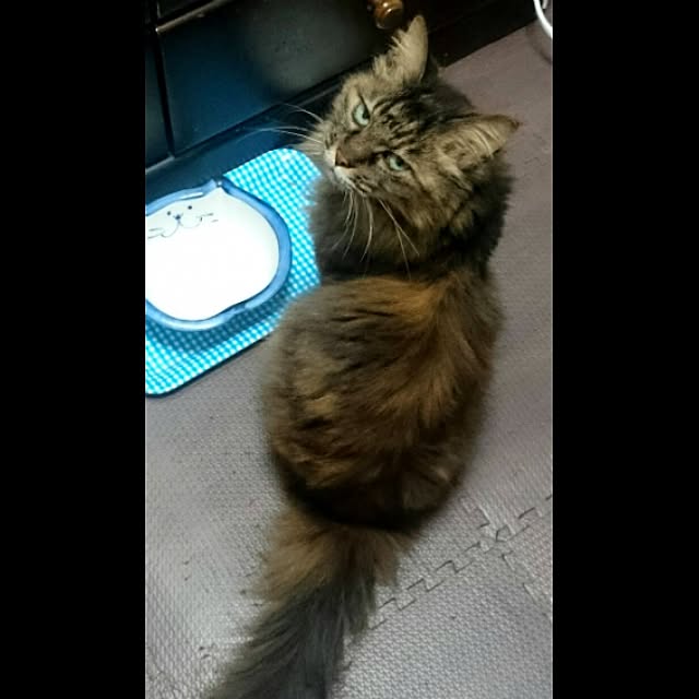 hirokoさんの実例写真