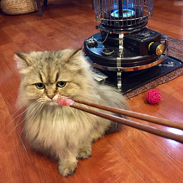 butachanさんの実例写真