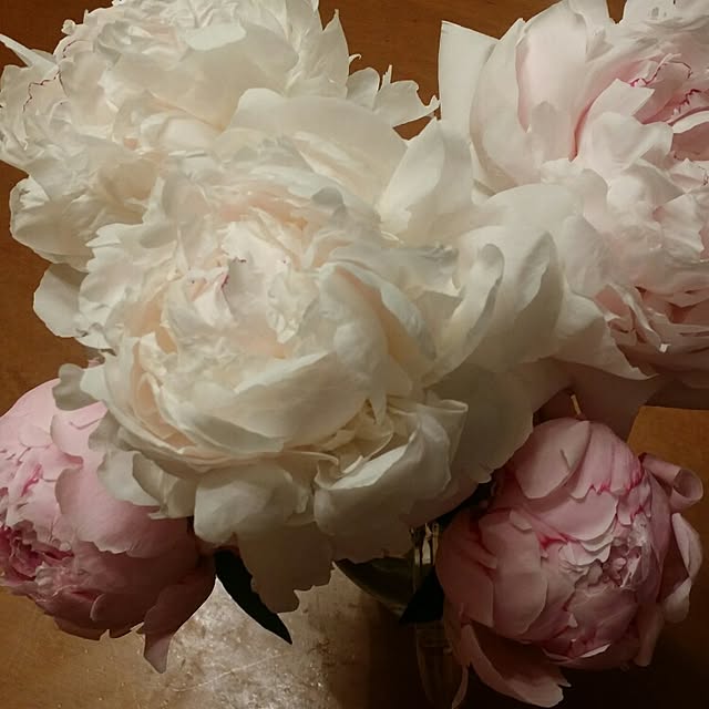 AKさんの実例写真