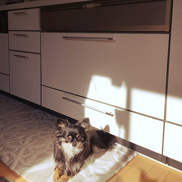 cocoさんの実例写真