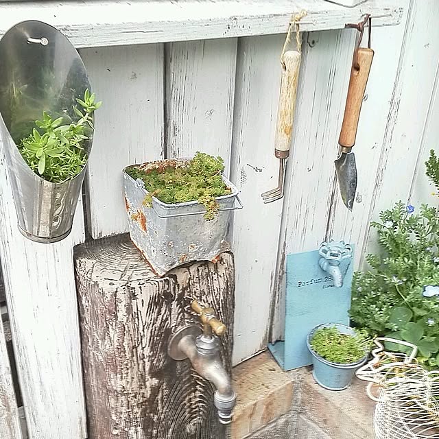 mikiさんの実例写真