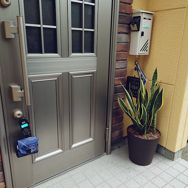 nachiさんの実例写真