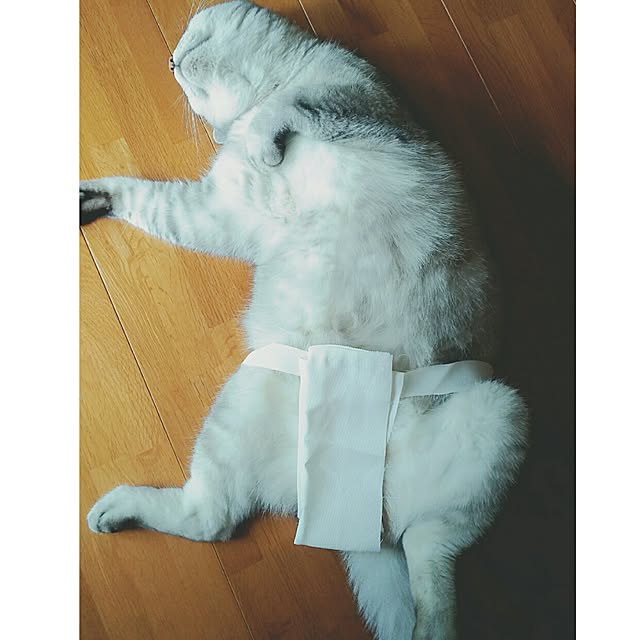 tamacharouさんの実例写真