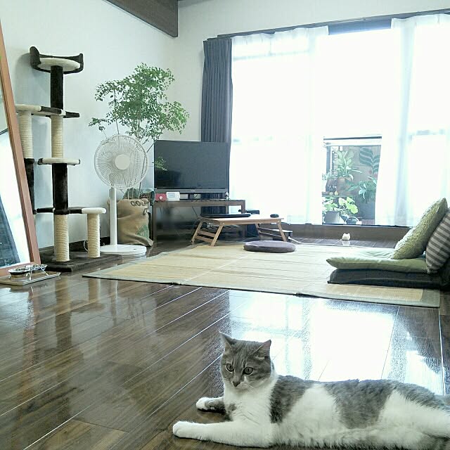 lovepandaさんの実例写真