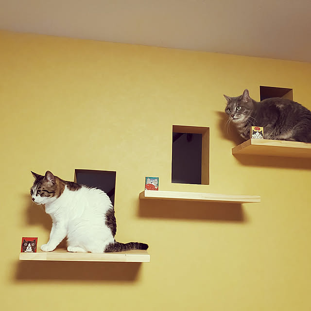 実例写真