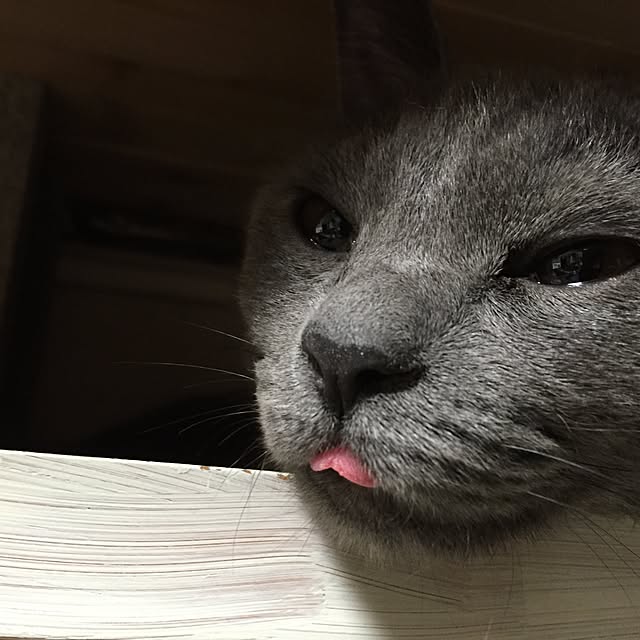 8717さんの実例写真