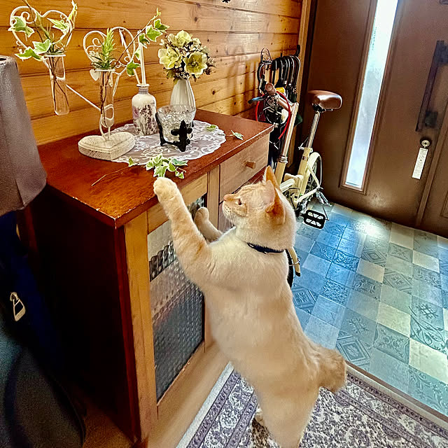 milkさんの実例写真