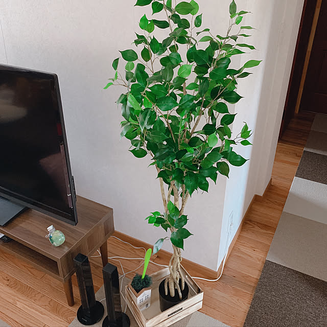 cocoaさんの実例写真