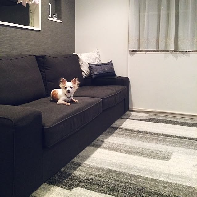 _rm_さんの実例写真