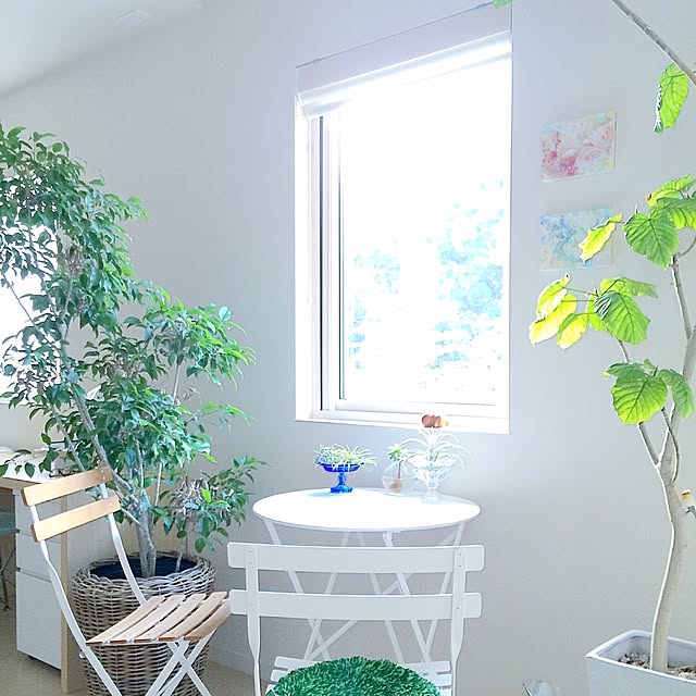 masami.hさんの実例写真
